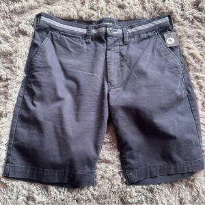 Express Flat‎ Front Blue/Gray Casual Shorts